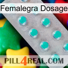 Femalegra Dosage 28